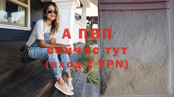 стаф Баксан
